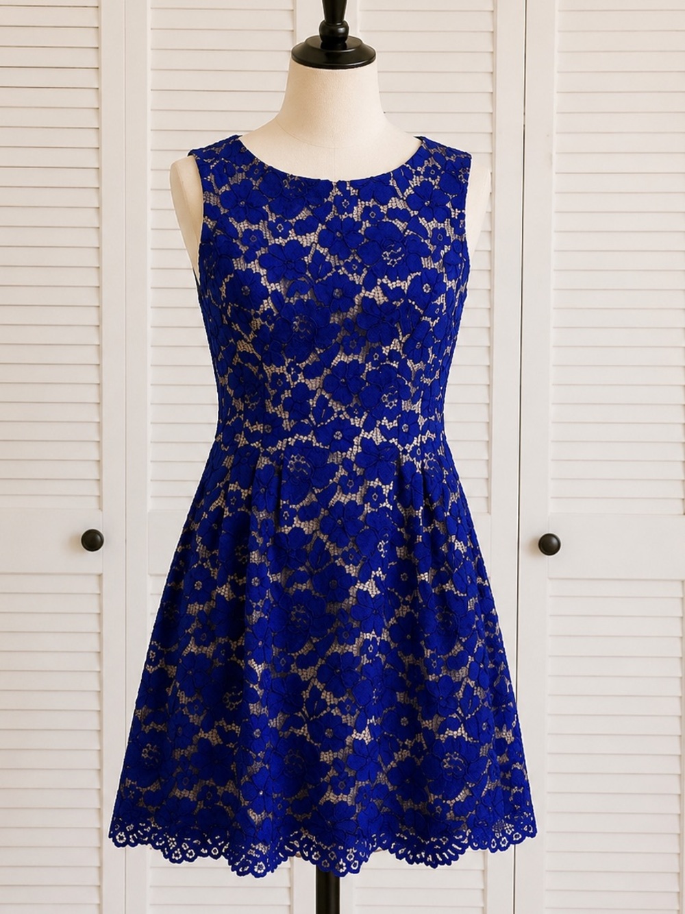 Vince Camuto Royal Blue Lace Fit & Flare Dress Size 8 Sleeveless Floral Overlay